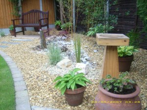 Low maintenance garden