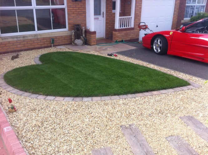 Low maintenance garden